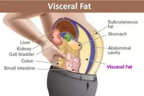 visceral-type-of-body-fat